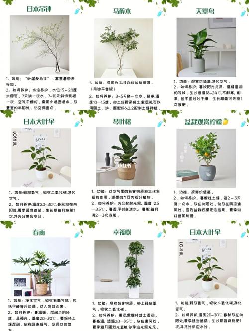 家庭植物养护知识（家庭植物养护知识培训）-第1张图片-多多自然网