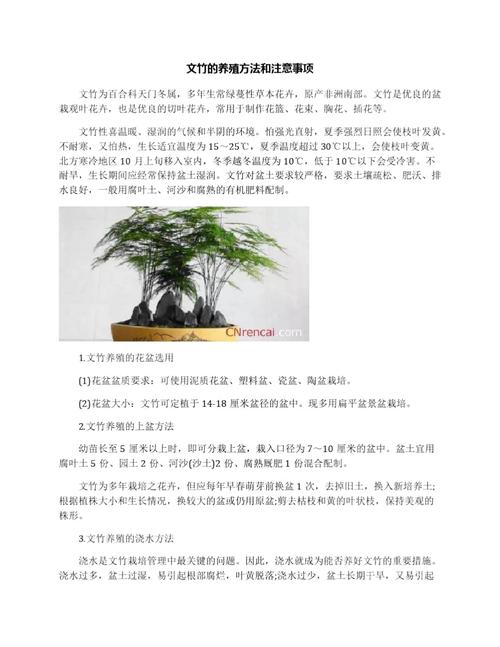 家庭植物养护知识（家庭植物养护知识培训）-第5张图片-多多自然网