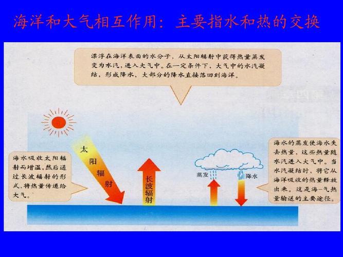 大气与植物的关系（大气与植物的关系是什么）-第4张图片-多多自然网