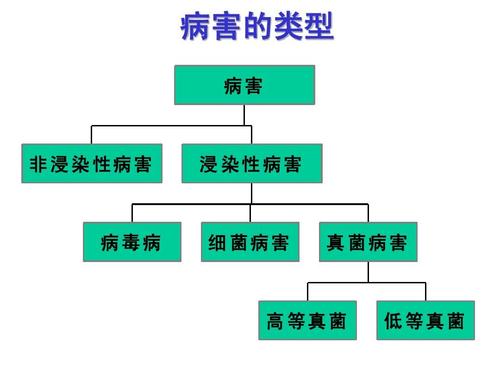 病菌与植物之间的关系（病毒与植物的关系）-第7张图片-多多自然网