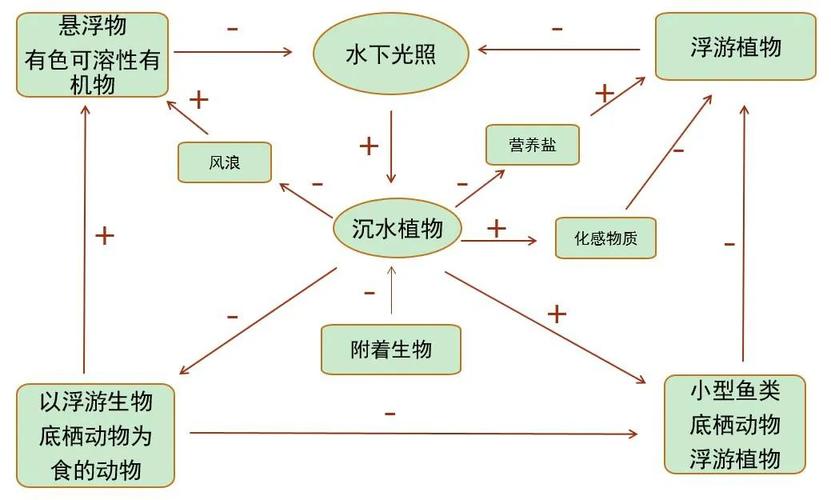 不同类型植物与水的关系（不同类型植物与水的关系有哪些）-第1张图片-多多自然网