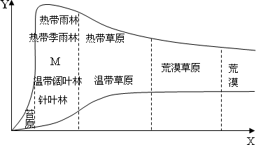 不同类型植物与水的关系（不同类型植物与水的关系有哪些）-第3张图片-多多自然网