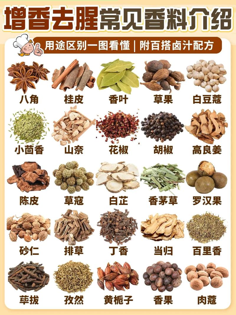 餐饮调味专家植物香料知识和使用（植物类香料）-第3张图片-多多自然网