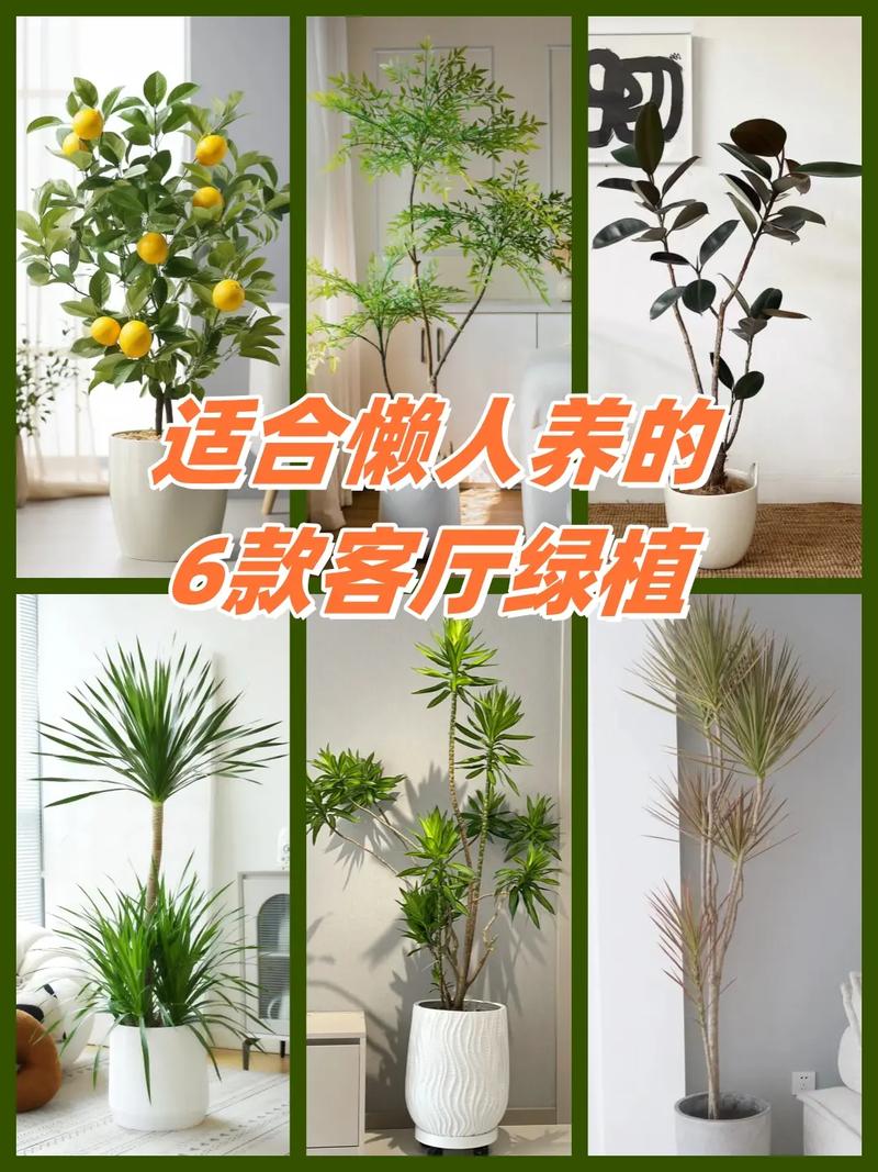 定植蓝水培绿植怎么养护（定植蓝怎么使用的）-第5张图片-多多自然网