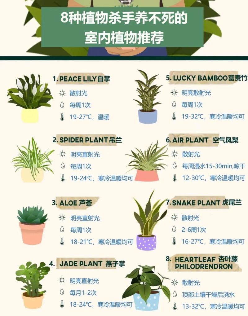 家庭盆栽植物养护知识大全（家庭盆栽种植方法）-第2张图片-多多自然网