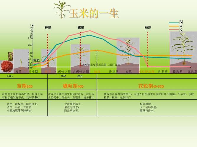 不同的地质与植物关系（不同的地质与植物关系有哪些）-第3张图片-多多自然网