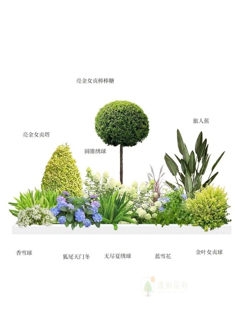 大型植物配置与造景的关系（植物配置与造景的原则）-第3张图片-多多自然网