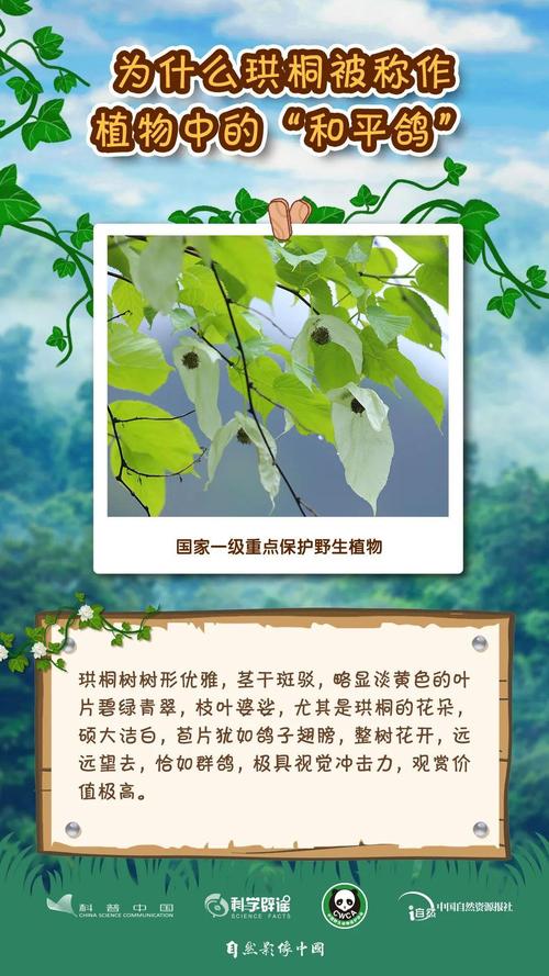 不知道的植物知识（一般人不知道的植物）-第5张图片-多多自然网