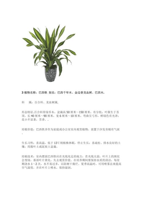 百科小知识关于植物（百科小知识关于植物的知识）-第7张图片-多多自然网