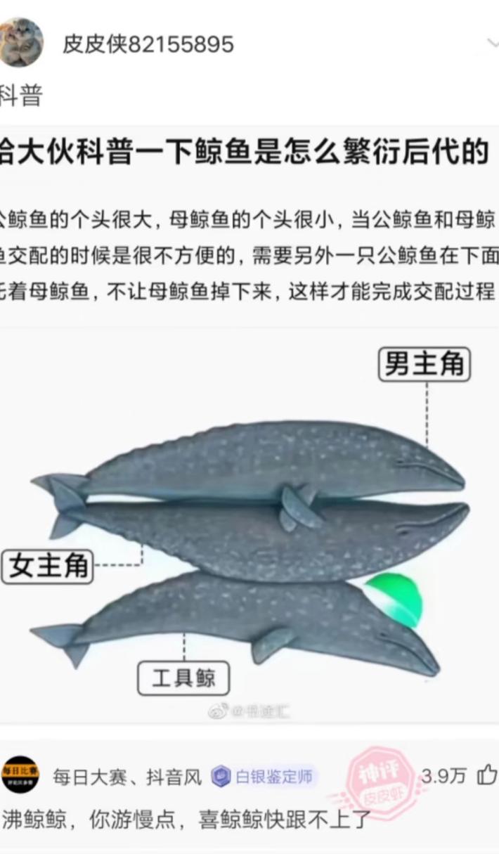 白琼会吃人植物吗百科知识（白琼会吃人植物吗百科知识）-第3张图片-多多自然网