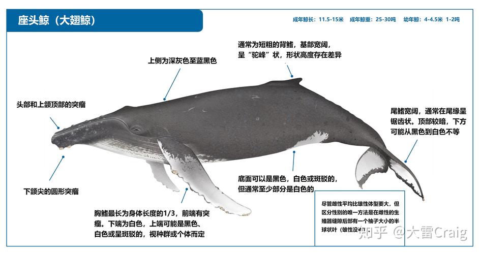 白琼会吃人植物吗百科知识（白琼会吃人植物吗百科知识）-第4张图片-多多自然网