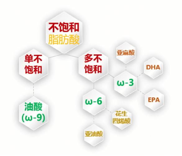 胆固醇与植物油的关系（植物固醇和胆固醇）-第1张图片-多多自然网