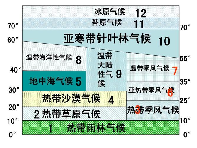 草本植物与苔原的关系（灌木苔原和草本植物区别）-第2张图片-多多自然网