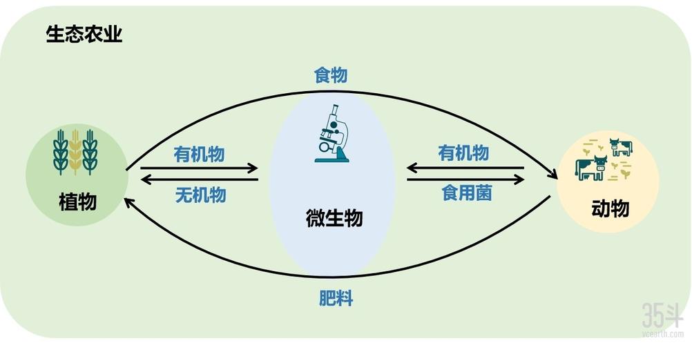 伴生植物与动物的关系是（伴生植物的特点）-第1张图片-多多自然网