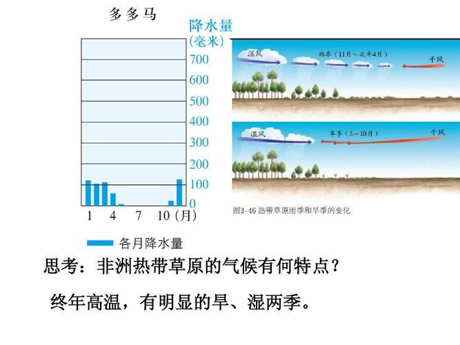 草地植物与温度的关系（草地温度与近地面大气温度的关系）-第6张图片-多多自然网