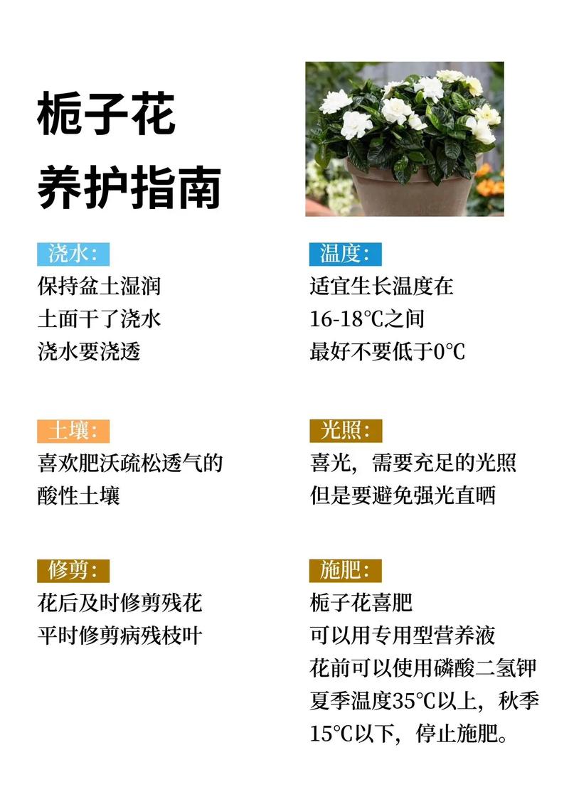 春季花卉知识和植物知识（春季花卉养护）-第1张图片-多多自然网