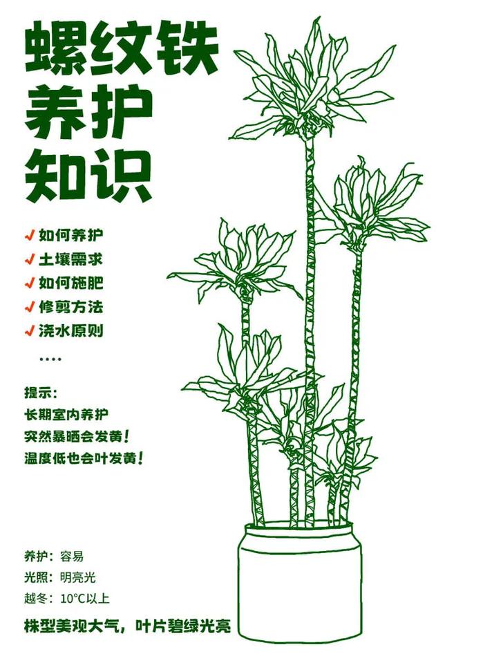 户外植物养护知识（户外植物养护知识培训）-第3张图片-多多自然网