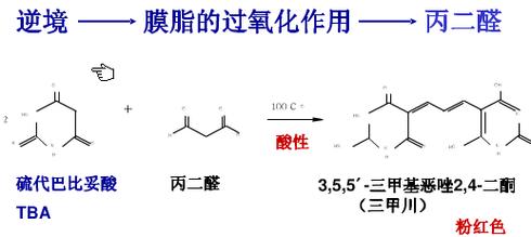 丙二醛与植物抗逆的关系（丙二醛含量与植物抗逆）-第5张图片-多多自然网