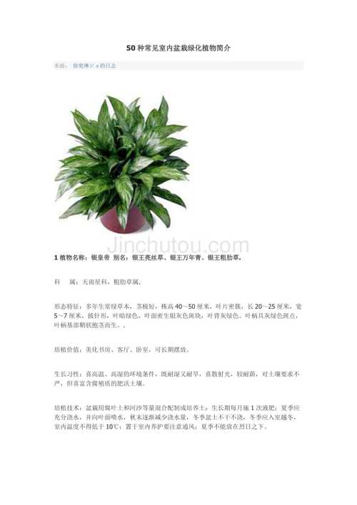 本地植物与归化植物的关系（植物归化是什么意思）-第5张图片-多多自然网