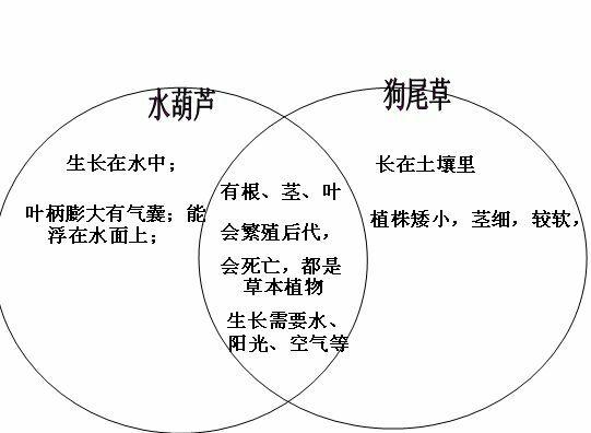 不同生境与植物的关系（植物生长与环境的关系是怎样的?）-第3张图片-多多自然网