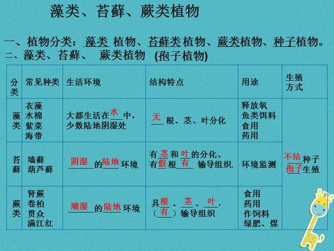 伴生植物与动物的关系（伴生植物的特点）-第1张图片-多多自然网