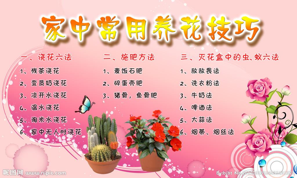 观叶植物养护知识大全（观叶植物1000种经典图鉴）-第1张图片-多多自然网