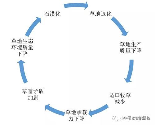 草坪与植物营养的关系（草坪与地被植物的功能）-第1张图片-多多自然网