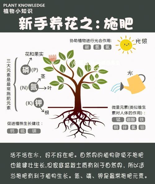 草坪与植物营养的关系（草坪与地被植物的功能）-第2张图片-多多自然网