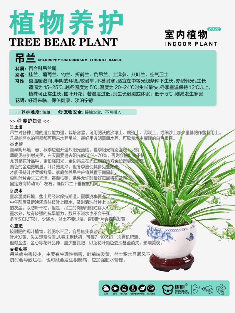 百合科植物小知识（百合科植物小知识大全）-第2张图片-多多自然网