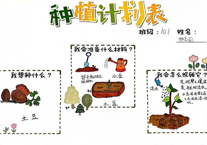 百合科植物小知识（百合科植物小知识大全）-第3张图片-多多自然网