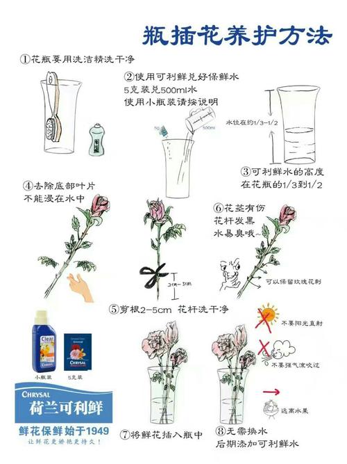 花卉植物日常养护知识大全（花卉养护小知识）-第6张图片-多多自然网