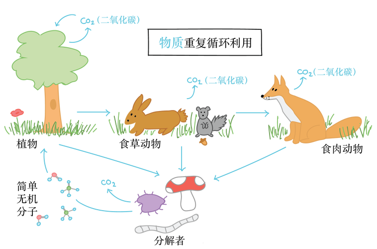 病原真菌与植物的种间关系（比较植物病原真菌,细菌和病毒的区别）-第1张图片-多多自然网