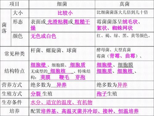 病原真菌与植物的种间关系（比较植物病原真菌,细菌和病毒的区别）-第5张图片-多多自然网