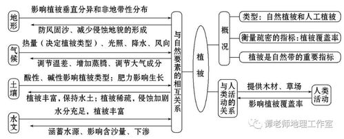 大衣植物生长与环境的关系（浅谈植物生长与环境的关系）-第3张图片-多多自然网