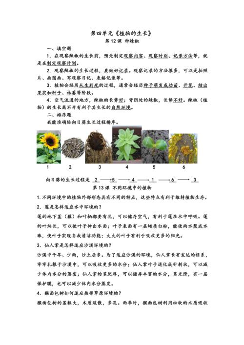 大衣植物生长与环境的关系（浅谈植物生长与环境的关系）-第4张图片-多多自然网