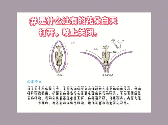 常见植物冷知识（常见植物简介）-第1张图片-多多自然网