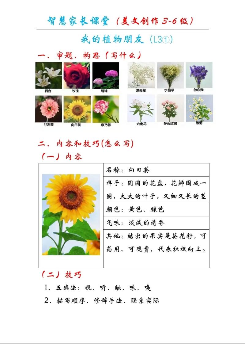 常见植物冷知识（常见植物简介）-第5张图片-多多自然网