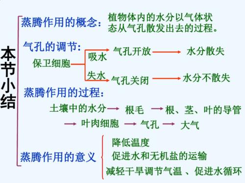 大气湿度与植物湿度的关系（大气湿度与植物湿度的关系是）-第3张图片-多多自然网