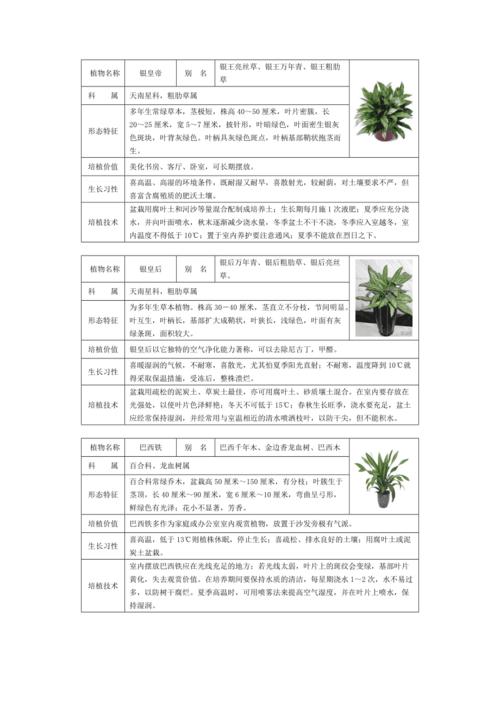 百科知识植物百科大全（最全的植物百科全书）-第3张图片-多多自然网