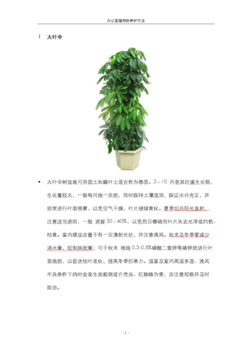 东北夏天室外绿植怎么养护（东北夏天室外绿植怎么养护好）-第4张图片-多多自然网