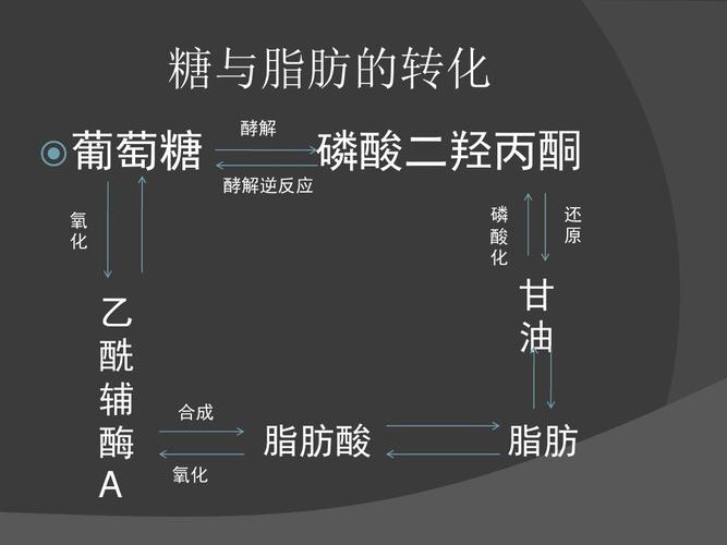 次生代谢物与植物生长的关系（植物的次生代谢产物）-第4张图片-多多自然网