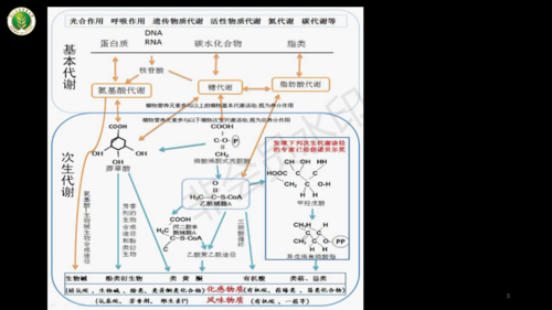 次生代谢物与植物生长的关系（植物的次生代谢产物）-第5张图片-多多自然网