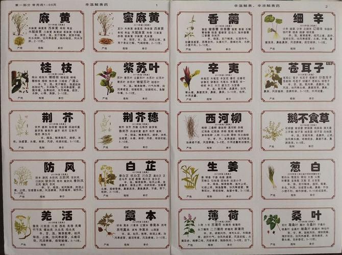 草药植物知识百科（草药植物知识百科图片）-第4张图片-多多自然网