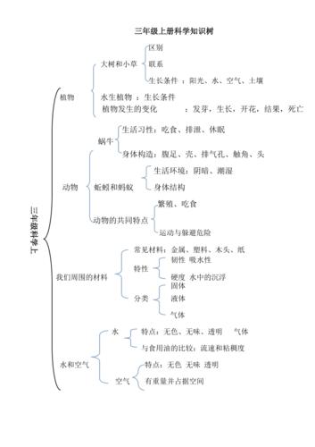 百科植物知识科普儿童（植物百科小知识）-第4张图片-多多自然网