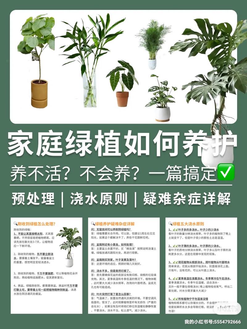 关于植物的养护知识（关于植物的养殖方法）-第2张图片-多多自然网