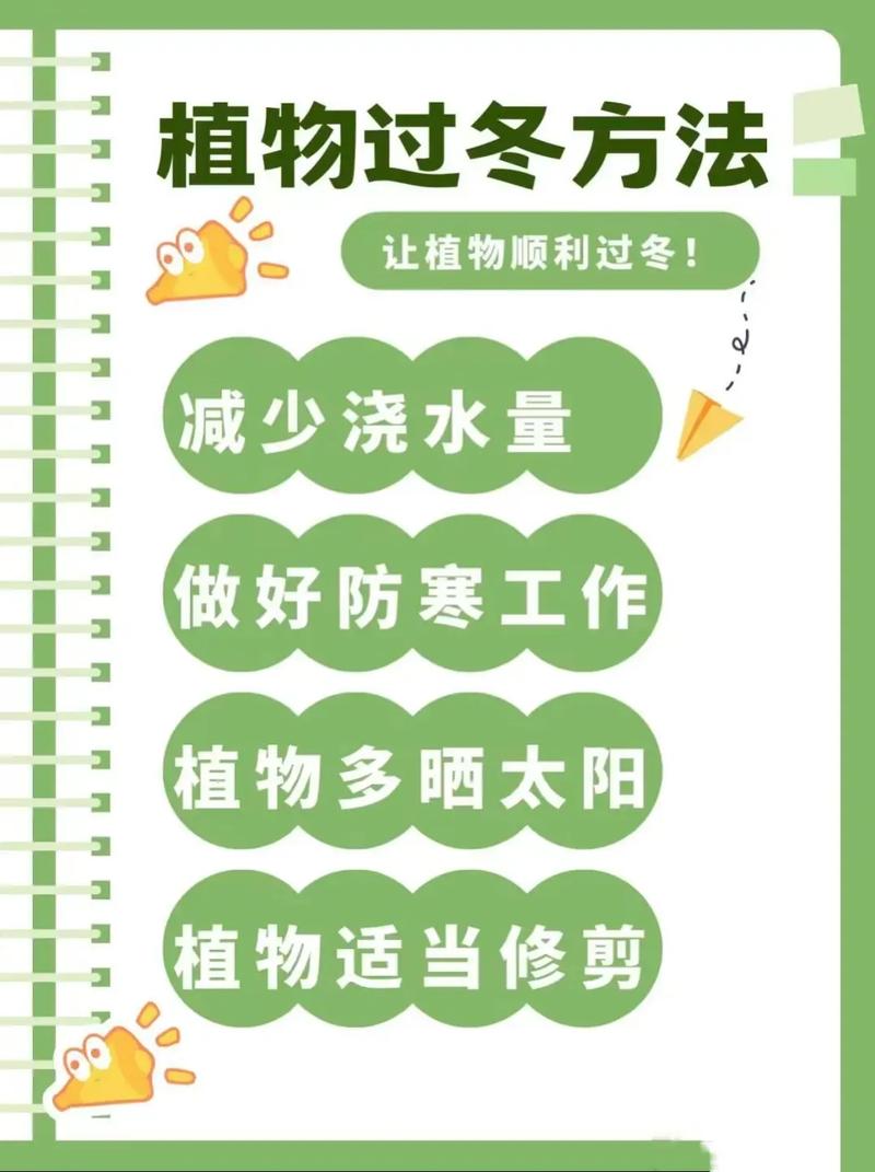 冬天室内花卉植物养护知识（冬天室内花卉植物养护知识有哪些）-第4张图片-多多自然网