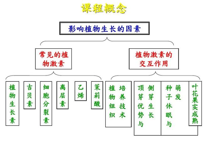 氨基酸与植物醇的关系是什么（植物氨基酸和人体氨基酸有什么区别）-第2张图片-多多自然网