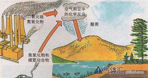 大气污染与植物的生态关系（大气污染物是如何危害植物生长发育的?）-第1张图片-多多自然网