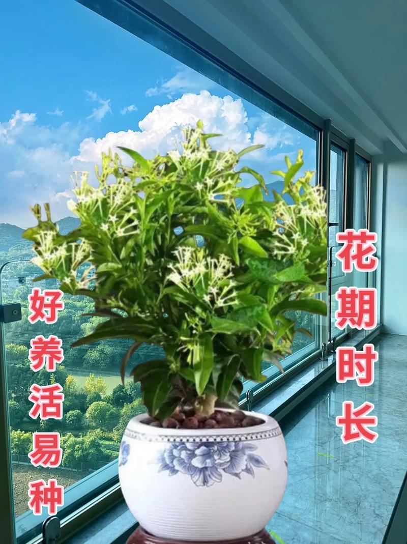 春天植物养护知识（春季植物养护注意事项）-第2张图片-多多自然网