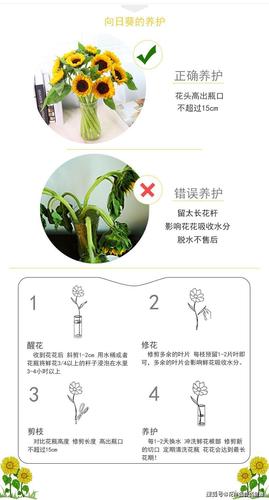 常见的植物养护知识有哪些（植物养护大全）-第3张图片-多多自然网